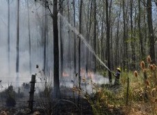 Extinguieron los cinco focos de incendio y fueron afectadas 130 hectáreas por el fuego
